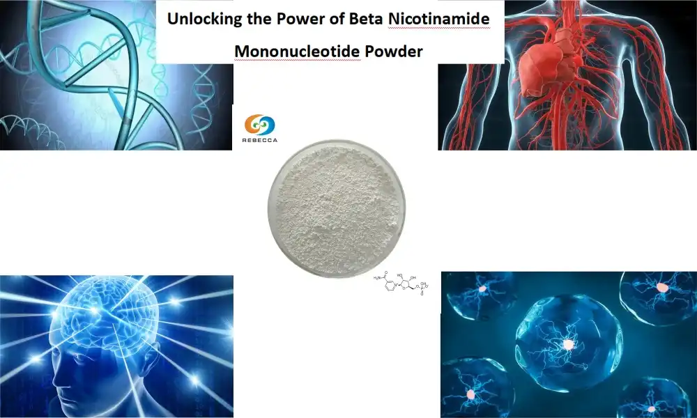 Unlocking the Power of Beta Nicotinamide Mononucleotide Powder